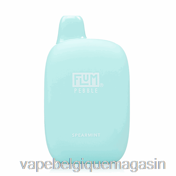 Vape Juice Flum Pebble 6000 Menthe Verte Jetable